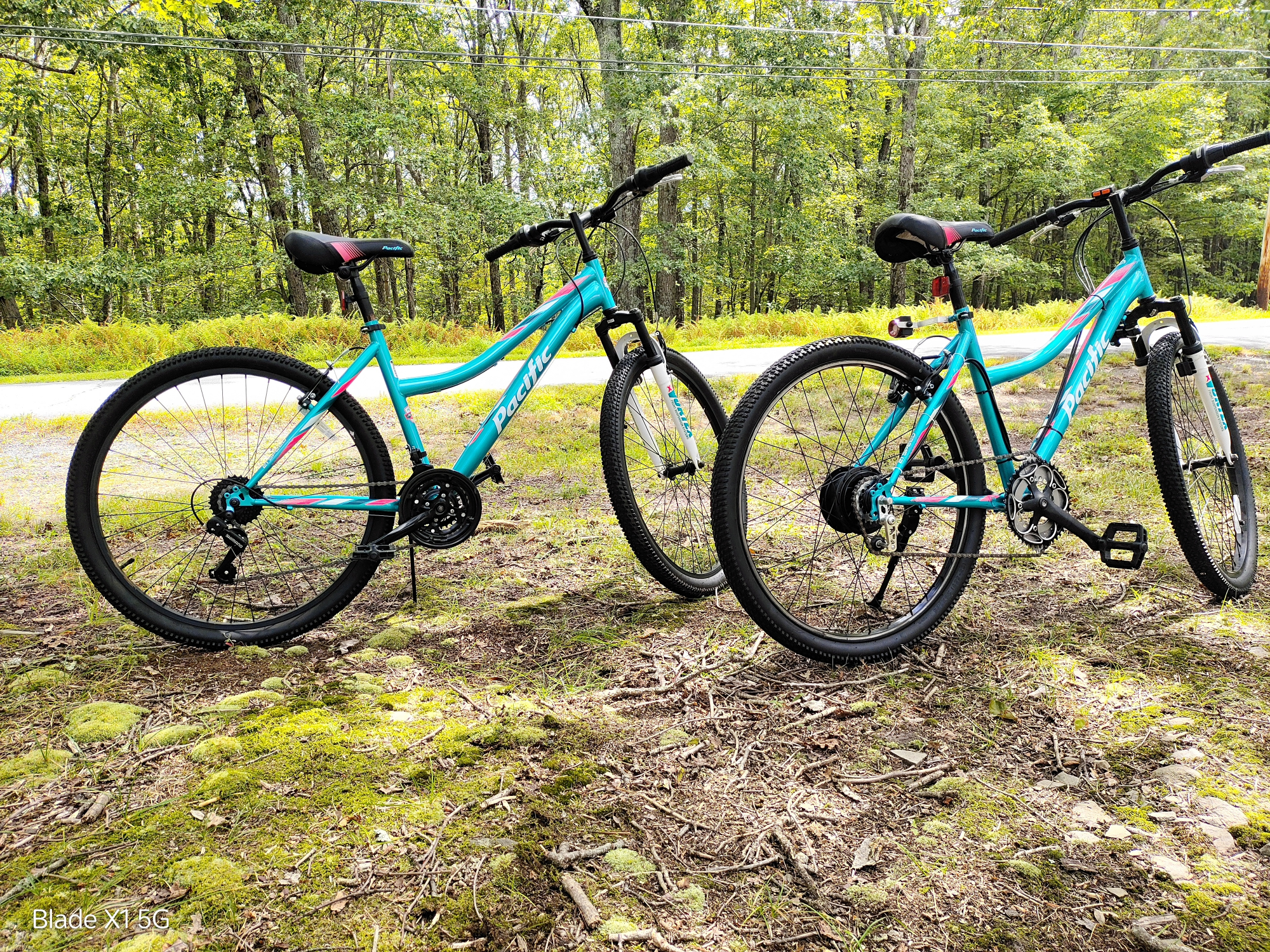 Image of two aditional bicycles with one converted.